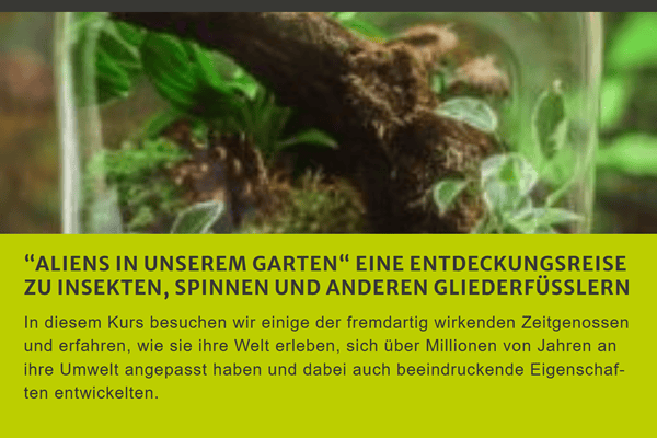 Garten Kurs für  Staffelbach